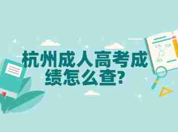 杭州成人高考成績怎么查?